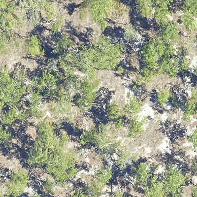 tree_01